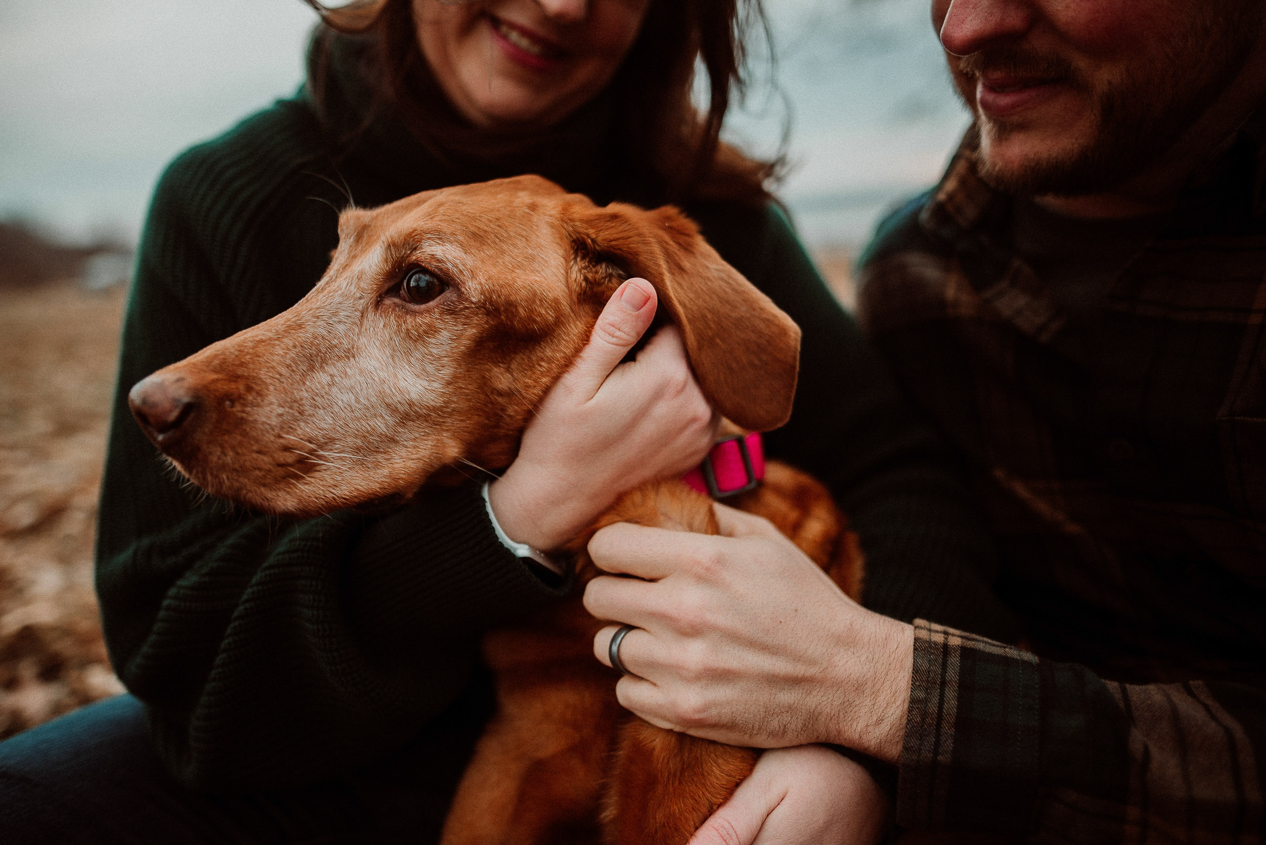 Maggie’s Family • Iowa Pet Photographer